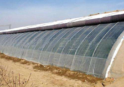 ��ꖴ����ޱ�