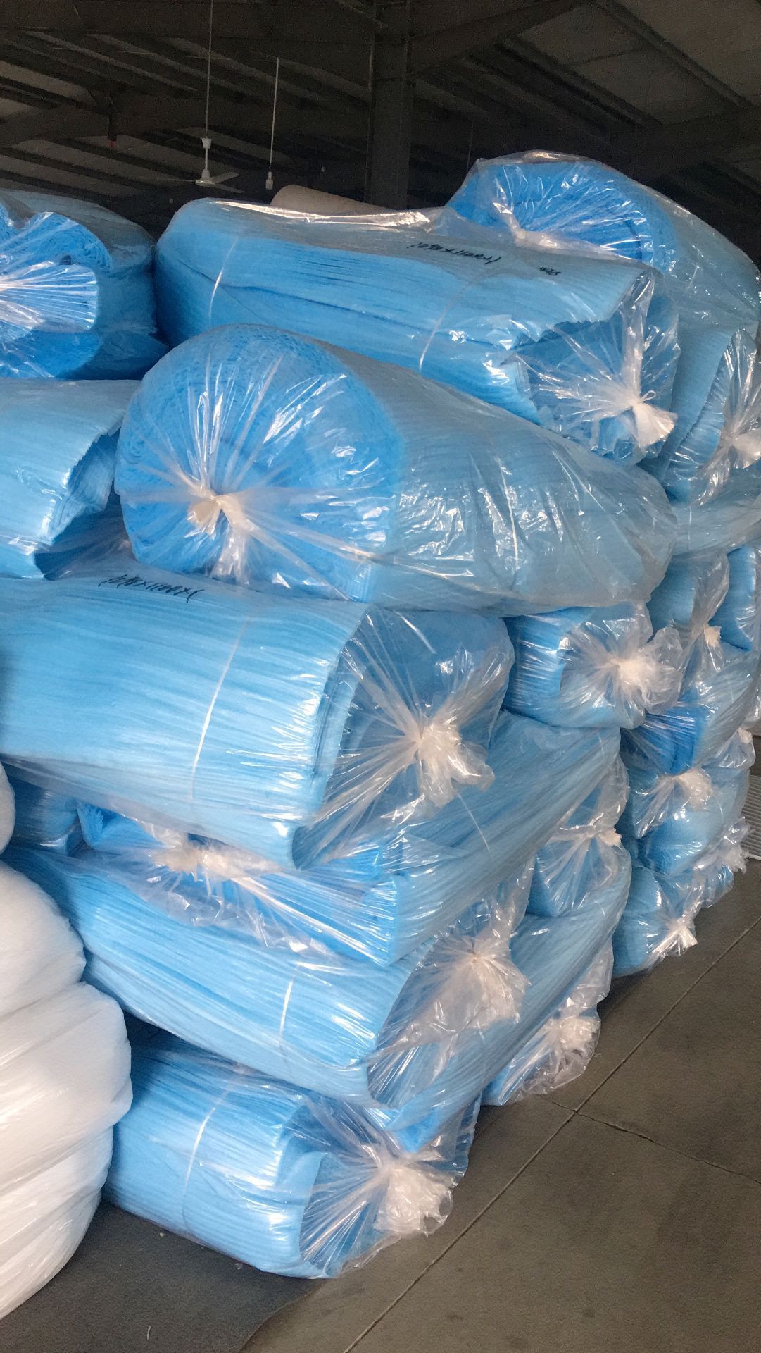 ������Ƭ��