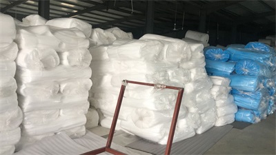 ������Ƭ��